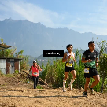 Runner Photo 5280495