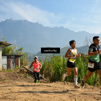 Runner Photo 5280499