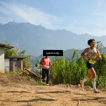 Runner Photo 5280501