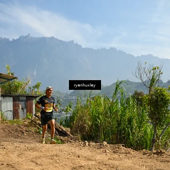 Runner Photo 5280526