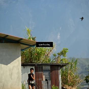 Runner Photo 5280527