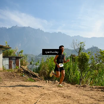 Runner Photo 5280545