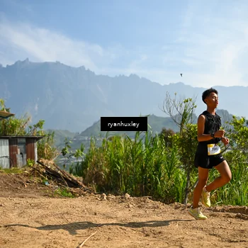 Runner Photo 5280546