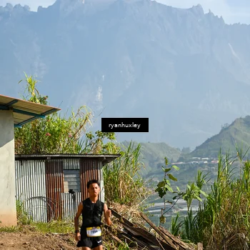 Runner Photo 5280547