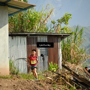 Runner Photo 5280554