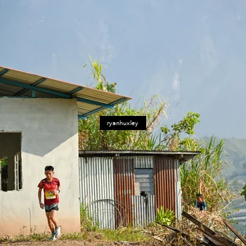 Runner Photo 5280557
