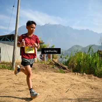 Runner Photo 5280564