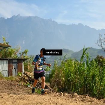 Runner Photo 5280572
