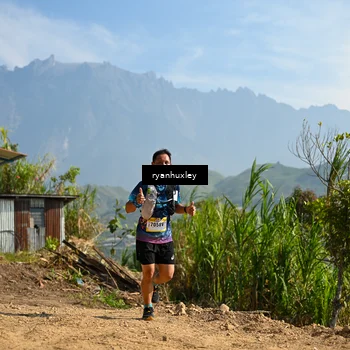 Runner Photo 5280575