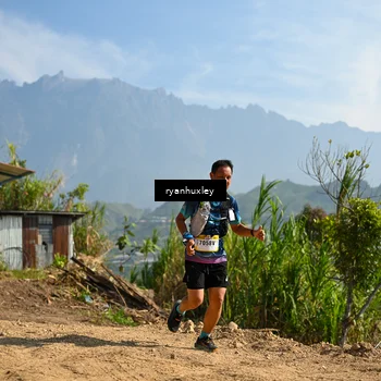 Runner Photo 5280578
