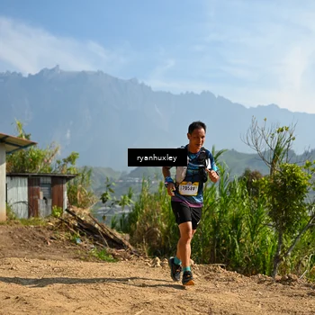 Runner Photo 5280579
