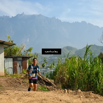 Runner Photo 5280581