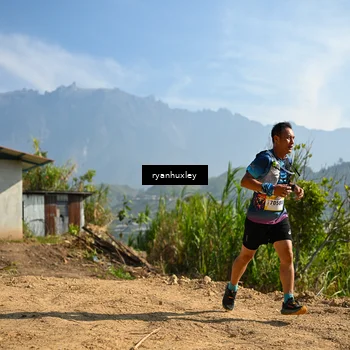 Runner Photo 5280582