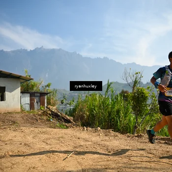 Runner Photo 5280588