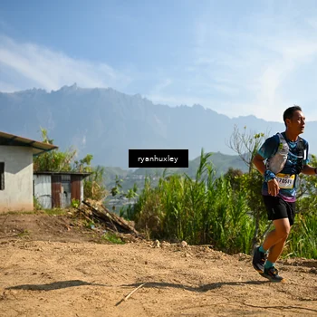 Runner Photo 5280592