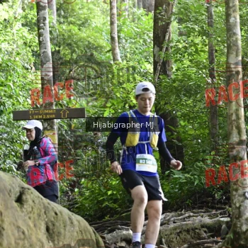 Runner Photo 528060