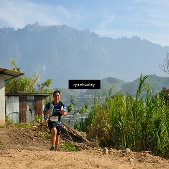Runner Photo 5280603