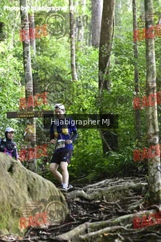 Runner Photo 528064
