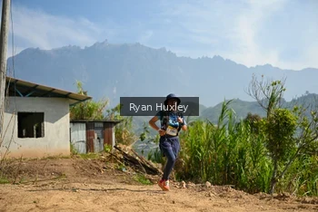 Runner Photo 5280669