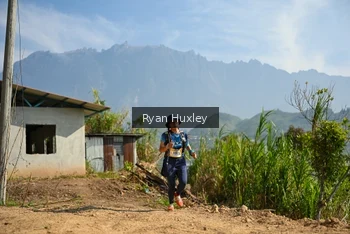 Runner Photo 5280674