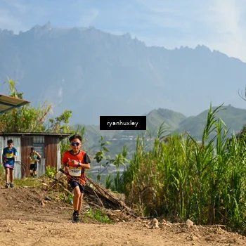 Runner Photo 5280685