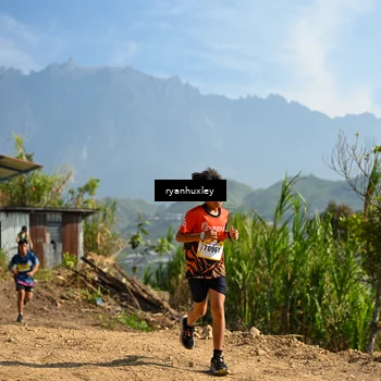 Runner Photo 5280688