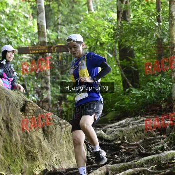 Runner Photo 528069