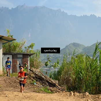 Runner Photo 5280693