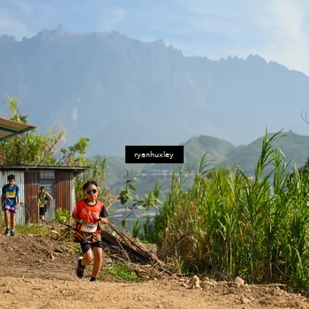 Runner Photo 5280701