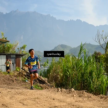 Runner Photo 5280704