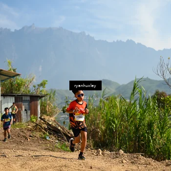 Runner Photo 5280706