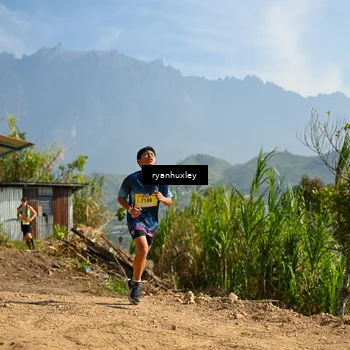 Runner Photo 5280724