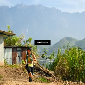 Runner Photo 5280726