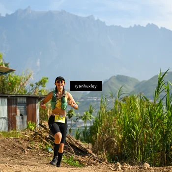 Runner Photo 5280731