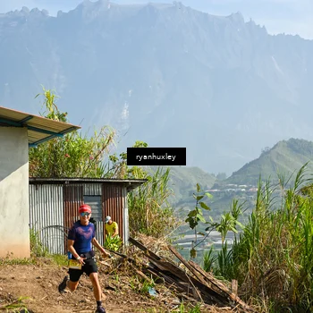 Runner Photo 5280750