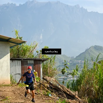 Runner Photo 5280761
