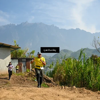 Runner Photo 5280783