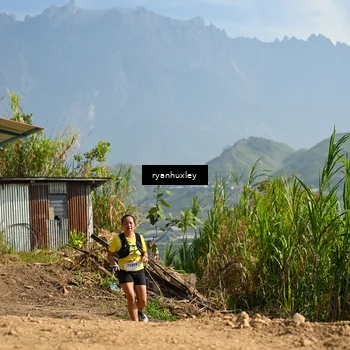 Runner Photo 5280814