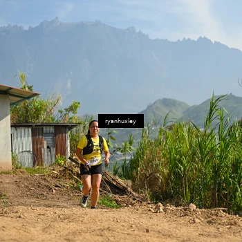 Runner Photo 5280819