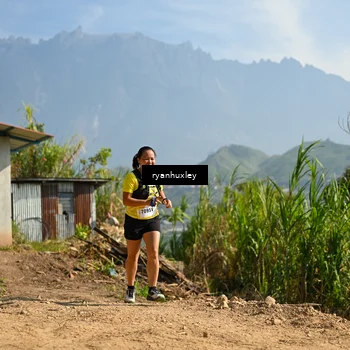 Runner Photo 5280820