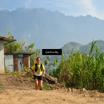 Runner Photo 5280821