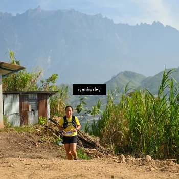 Runner Photo 5280822