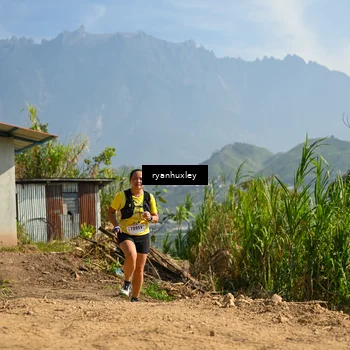 Runner Photo 5280824
