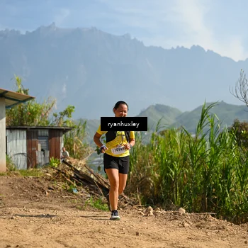 Runner Photo 5280825