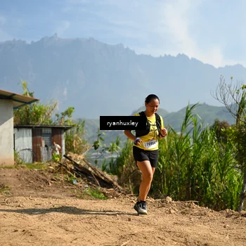 Runner Photo 5280830