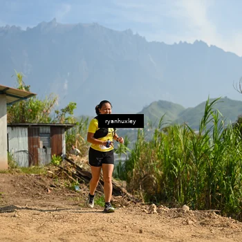 Runner Photo 5280831
