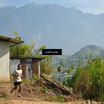 Runner Photo 5280832