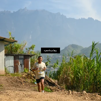 Runner Photo 5280844