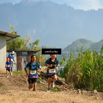 Runner Photo 5280854