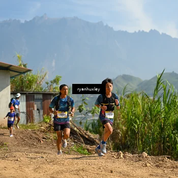 Runner Photo 5280855